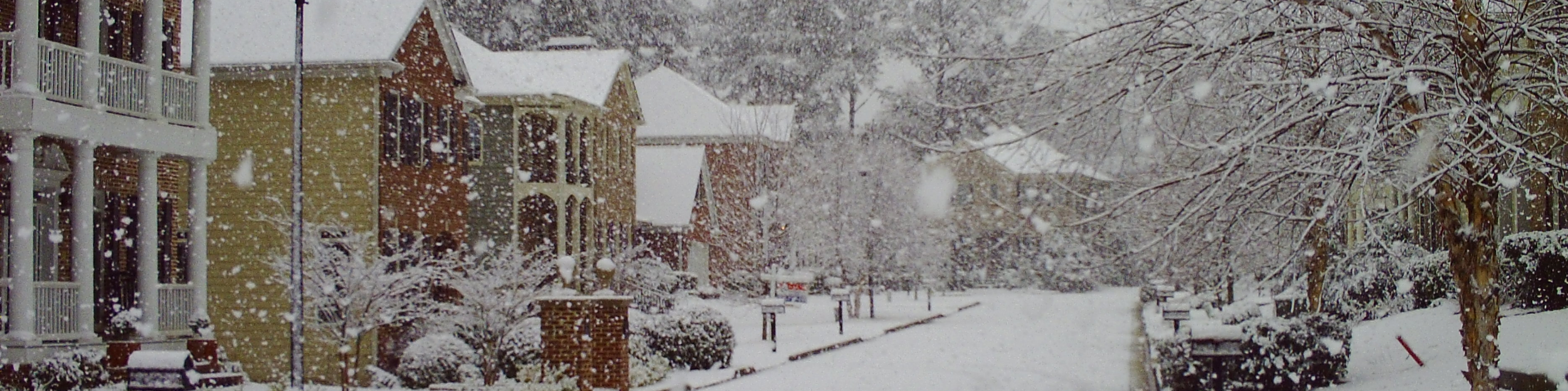 Village At Avondale